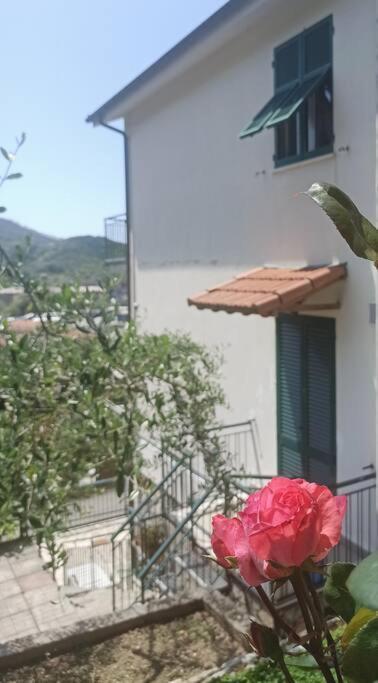 东塞斯特里La Piazzetta Di Gra E Baldo公寓 外观 照片